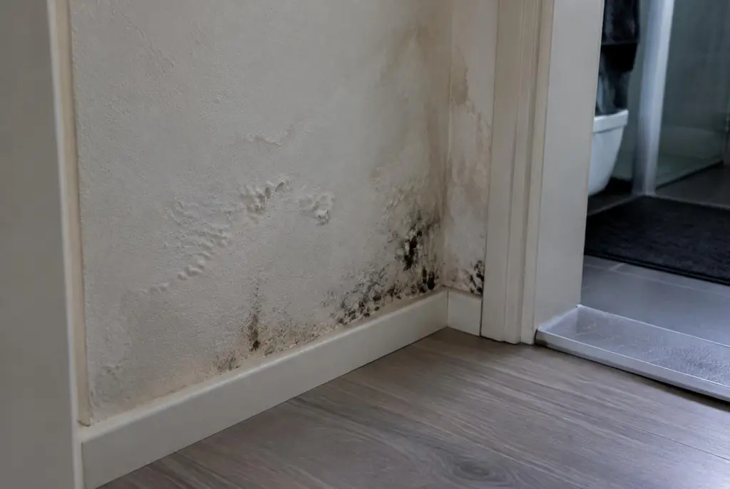 Lekdetectie Werkendam – vochtplek met schimmel op een muur